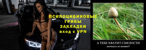 прущая мука Абаза