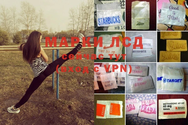 гашик Бердск