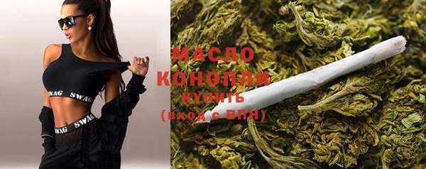 амф Надым